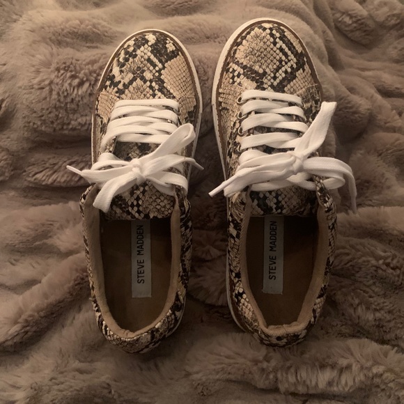 Steve Madden Santana Sneakers - Picture 3 of 5